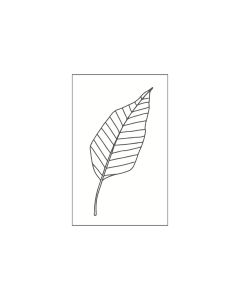 Hobby Stempel - May & Berry Stempel - Blad Gestileerd